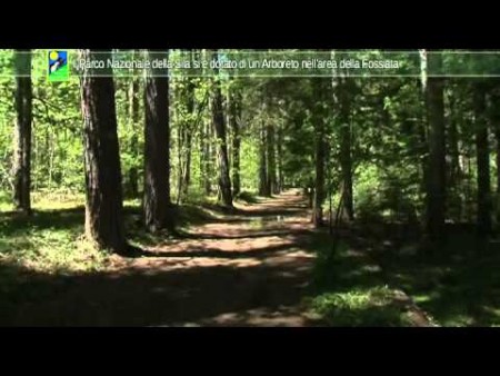 Il Parco Nazionale della Sila si è dotato di un Arboreto