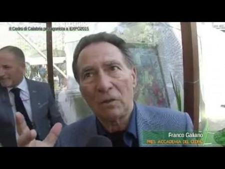 Il Cedro di Calabria protagonista a EXPO 2015- immagini e interviste