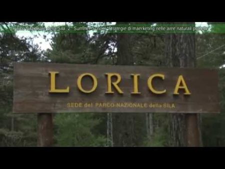 Lorica: Scuola estiva su “strategie di marketing”- immagini e interviste