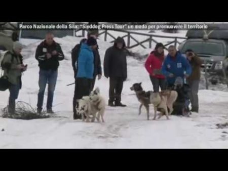 Parco della Sila: “Sleddog Press Tour” un modo per promuovere il territorio- interviste-immagini