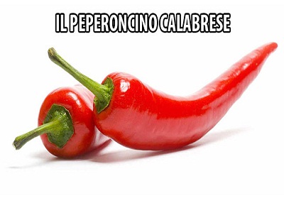 Il Peperoncino, vettore culturale per la promozione della città di Zunyi in Cina