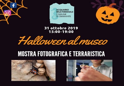 Diamante: 3^ edizione di Halloween al Museo, evento organizzato dall’Acquario Multimediale