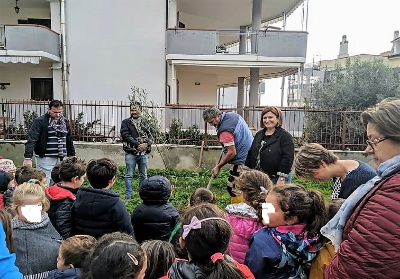 Diamante: Istituto Comprensivo ed Amministrazione Comunale insieme per la Festa degli Alberi