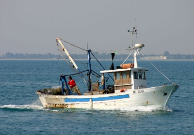 Pesca Tonno Rosso. Calabria e Sicilia chiedono nuove regole a favore delle marinerie locali