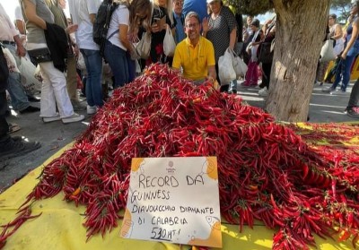 Roma: Coldiretti Calabria da record. Realizzata una treccia di peperoncino di 530 m.