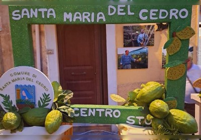 Santa Maria del Cedro: Tante presenze alla Festa della raccolta del cedro