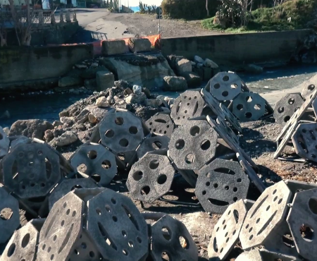 Diamante: Tutela Ambiente Marino e Isole di ripopolamento – interviste