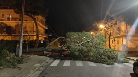 Tirreno cosentino: Danni e disagi per la tempesta di vento di ieri