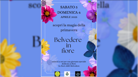 Belvedere M.mo: L’Associazione Ricchezze Mediterranee lancia la 1^ Edizione di “In-fiori-AMO Belvedere”