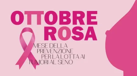 Santa Maria del Cedro: il 25 ottobre la “Passeggiata in Rosa” promossa da Donna Mediterranea ODV
